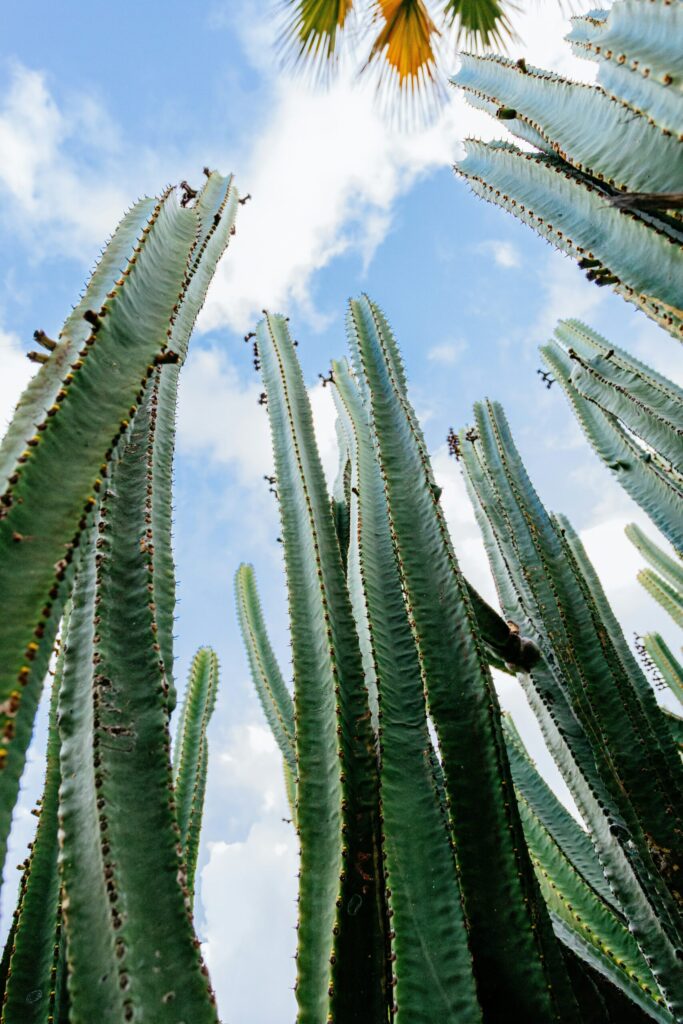 EAUde1974_lifestyle_moods_purchased_T1_Elements_172-5-scaled